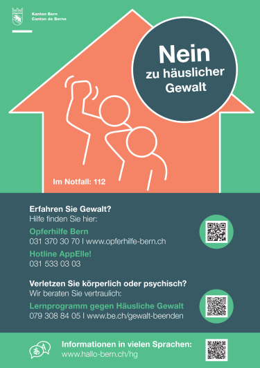 2024-11-20-sid-plakat-gegen-haeusliche-gewalt-de.png